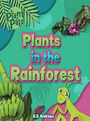 cover image of Plants in the Rainforest
